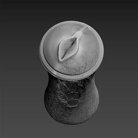 shaved pussy stl file|Free STL Female.